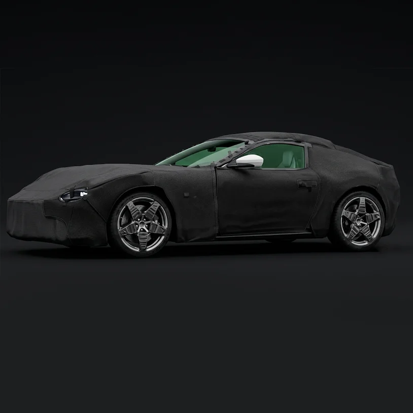 Copertura auto camouflage